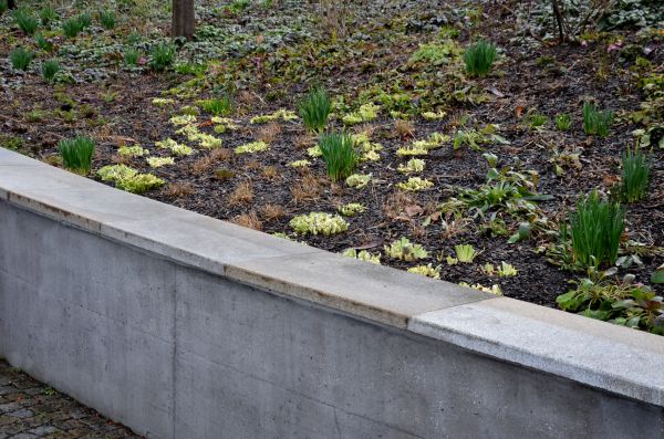 Concrete Wall Construction in Layton