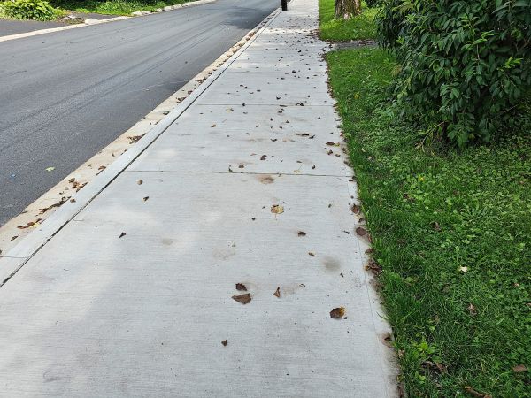 Sidewalk Renovation in Layton