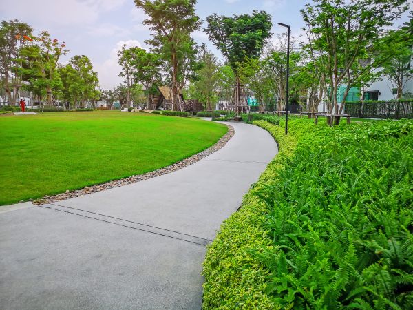 Cement Walkway Service in Layton