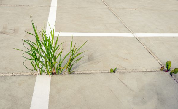 Concrete Parking Installation in Layton